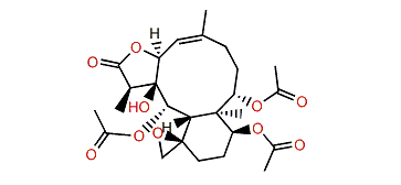 Junceellolide K